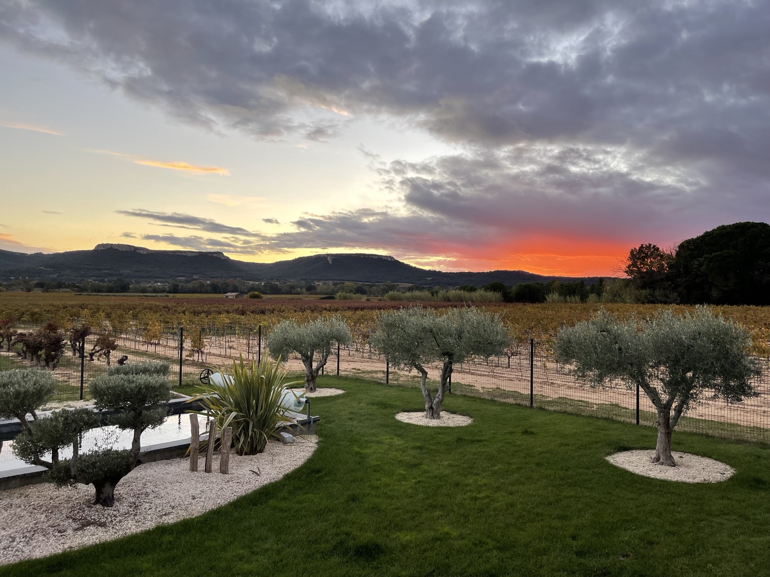 Coucher de soleil sur les vignes et le Camp César