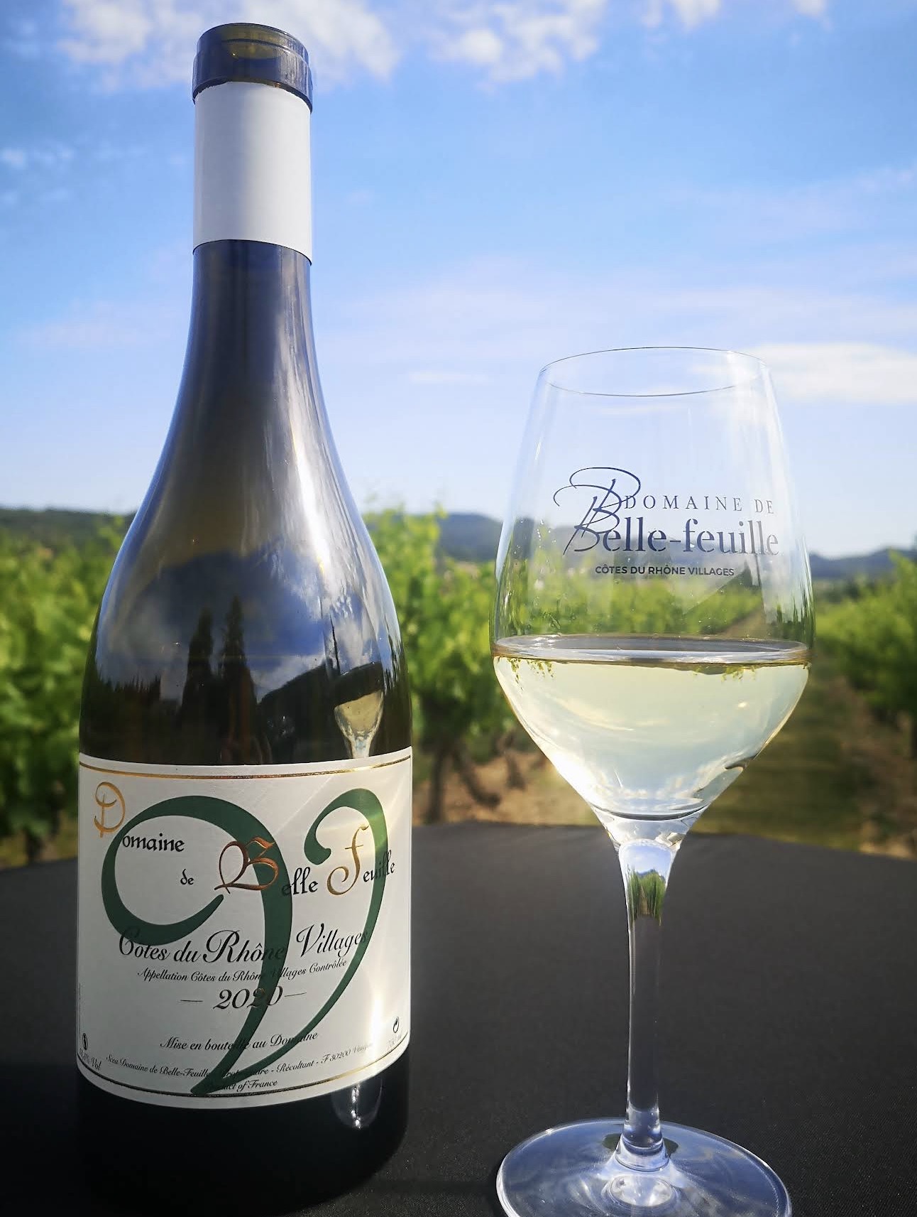 Une bouteille et un verre du Domaine de Bellefeuille devant les vignes